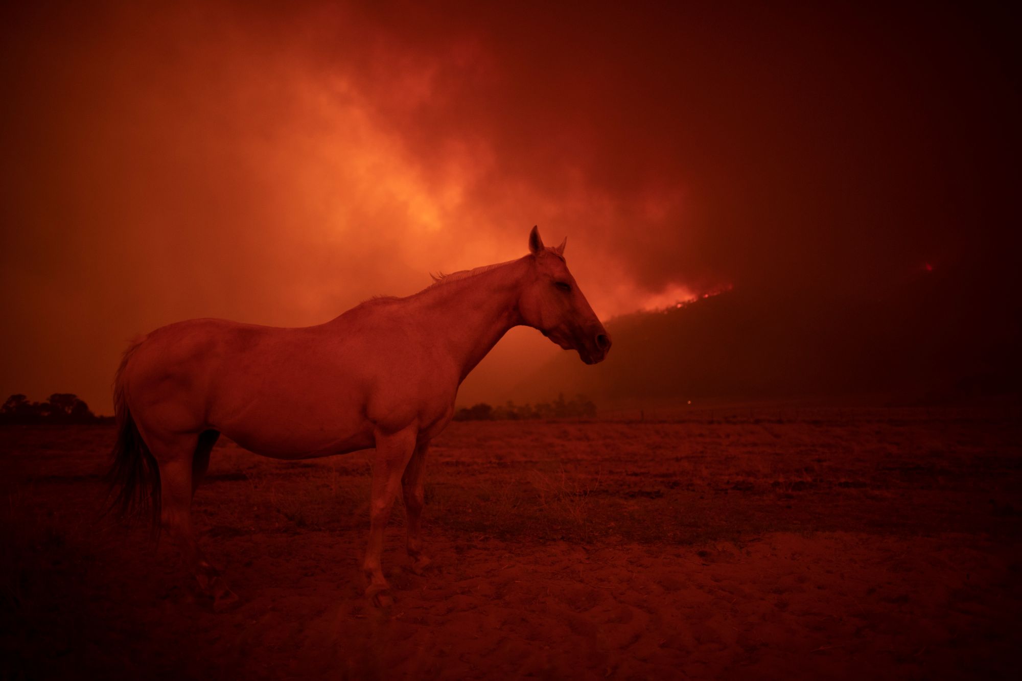 Brook Mitchell, Getty Images